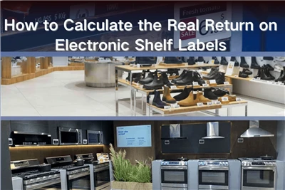 Calculator ea ESL ROI: Mokhoa oa ho Bala Ho Khutla ha 'Nete ho Li-Labels tsa ...
