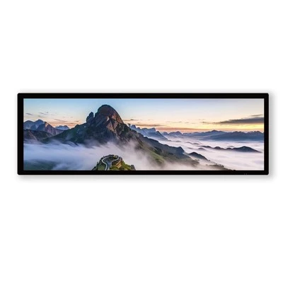 28 .6 Inch Bar Display Digital Signage